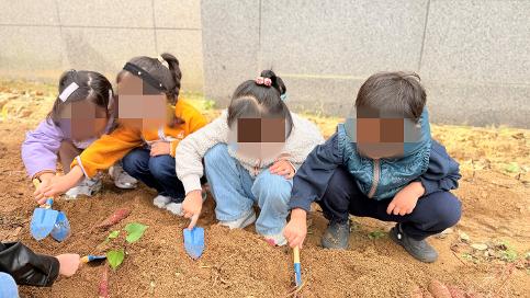 3학년(열매반) 고구마캐기 텃밭체험