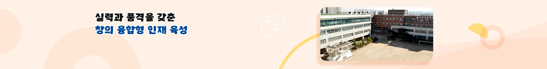 s_visual.png