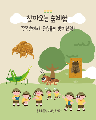 전문가와 함께하는 숲체험